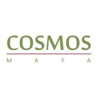 Cosmos Maya India Private Limited logo - Similar company to Irealities
