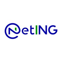 netING logo - Similar company to Techambits