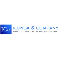 Ilunga and Company logo - Similar company to Invictus Hill