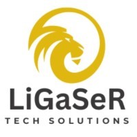 LiGaSeR Tech Solutions logo - Similar company to Nvsrk Software Solution