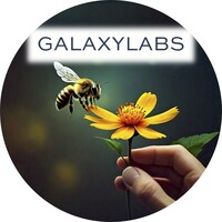 Galaxylabs.org logo - Similar company to Fast-Eo