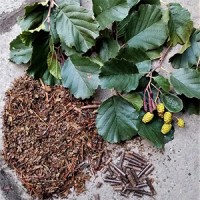Perennial Green Manures logo - Similar company to Fairy Trees Winery