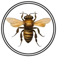 Eco Seed Balls logo - Similar company to Seedball