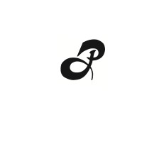 Paytron Infotech Pvt Ltd. logo - Similar company to Rodzen