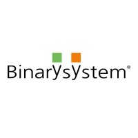 Binary System logo - Similar company to Zelra
