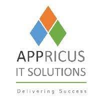 Appricus IT Solutions logo - Similar company to Millioncxo