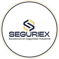 Seguriex SA de CV logo - Similar company to Casta+ S.R.L.
