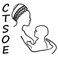 CTSOE logo - Similar company to Bitmachina