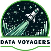 Data Voyagers logo - Similar company to Dawn The Data Analyst