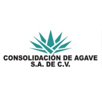 Consolidación de Agave SA de CV logo - Similar company to Punto Agave S.A. De C.V.