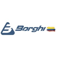 Borghi Colombia logo - Similar company to X-Sol End Of Line Solutions