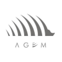 Agem logo - Similar company to Altosec