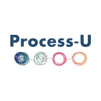 Process-U logo - Similar company to Net3