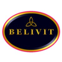 Belivit HR Solutions logo - Similar company to Hiresherlocks