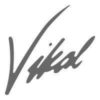 Vikal International - Luxury Superyacht Tenders logo - Similar company to Delta Jet
