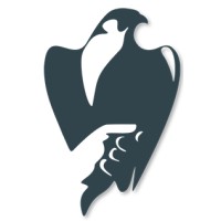 The Archives Of Falconry