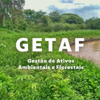 Getaf - Gestão De Ativos Ambientais E Florestais