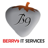 BERRY9 IT SERVICES (B9ITS)