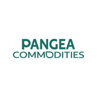 Pangea Commodities logo - Similar company to Huudi