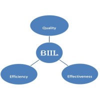 Business Initiatives International Limited