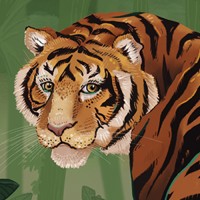 Asia Orlando Illustration Studio logo - Similar company to Sqz Illustration Studio