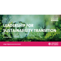 Sustainability Transitions: Design, Diplomacy & Data Summer School logo - Similar company to 8020Green