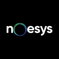 Noesys logo - Similar company to Noesys Inc.