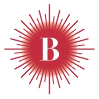 Brilla Schools logo - Similar company to Explore Schools