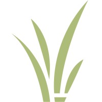Sugar Me Smooth logo - Similar company to Media Dank