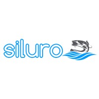 Multiservicios Siluro S.L. logo - Similar company to Mained