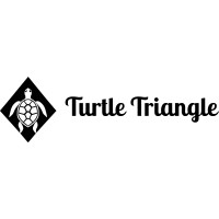 Turtle Triangle logo - Similar company to Hirello.Ai