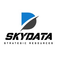 SKYDATA USA logo - Similar company to The Structural Group, Ltd.