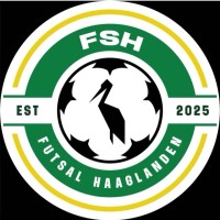 Futsal Haaglanden logo - Similar company to Cmsi360