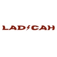 Ladicah AS logo - Similar company to Aien Research