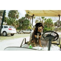 Sabin Marketing and Promotions logo - Similar company to Next Step Connect