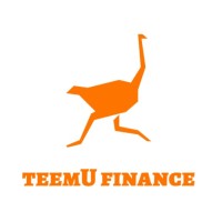 TeemU Finance Pty Ltd logo - Similar company to Kings Global Services Pte Ltd