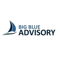 Big Blue Advisory Pty Ltd logo - Similar company to Big Blue Infotech