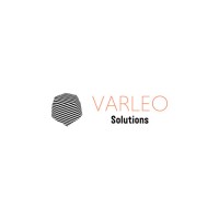 VARLEO Solutions logo - Similar company to Comine Space