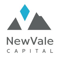 NewVale Capital logo - Similar company to Biospring Partners