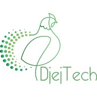 DjejTech logo - Similar company to M2Amara