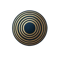 Values Partners Capital logo - Similar company to Omo Ventures