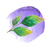 Coaching Salud Holistica logo - Similar company to Bi-County Business Roundtable