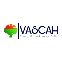 VASCAHGROUP CONSULTORES S.R.L. logo - Similar company to Ace Internacional