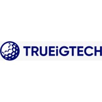 TRUEiGTECH logo - Similar company to E-Skills Web Llp