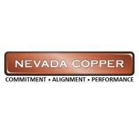 Nevada Copper Corp (TSX:NCU) logo - Similar company to Copper Star