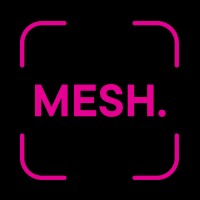 MESH. logo - Similar company to Beis Hashem
