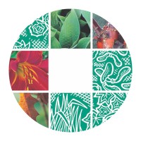 Tendercare Nurseries logo - Similar company to Glendale Civic Trees