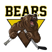 Sheffield Bears Universities Ice Hockey Club logo - Similar company to Air Online Started