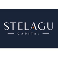 STELAGU Capital & Gestão Empresarial logo - Similar company to Grimper Capital