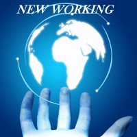 New Working srl